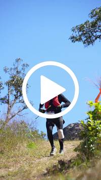 BIB:  <button type="button" onclick="openModal(26596894)" class="btn btn-primary btn-sm float-right" data-toggle="modal" data-target=".modal-high-quality">
                <i class="fa fa-download"></i> Download
                </button>